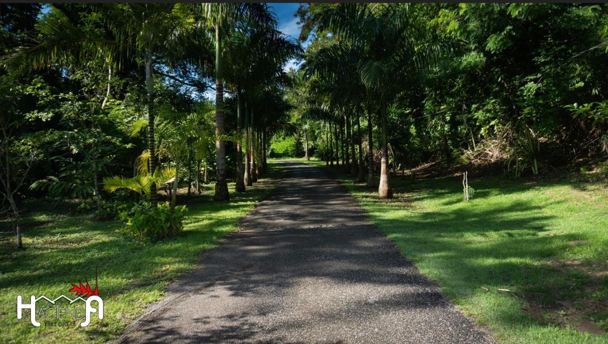 Gasthaus Hacienda Tres Casitas Cabo Rojo Exterior foto